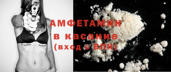 индика Бронницы
