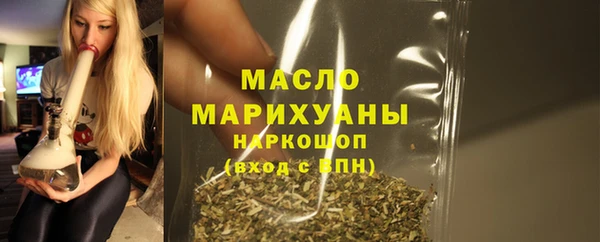 индика Бронницы