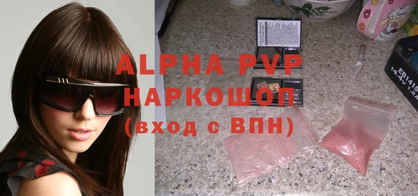 индика Бронницы