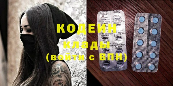 индика Бронницы