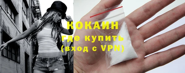 индика Бронницы