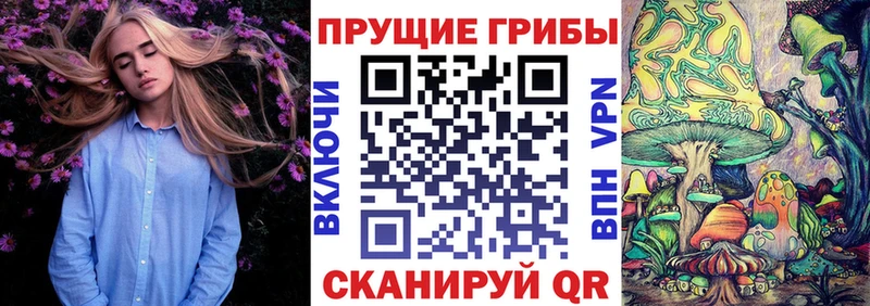 Галлюциногенные грибы Magic Shrooms Пятигорск